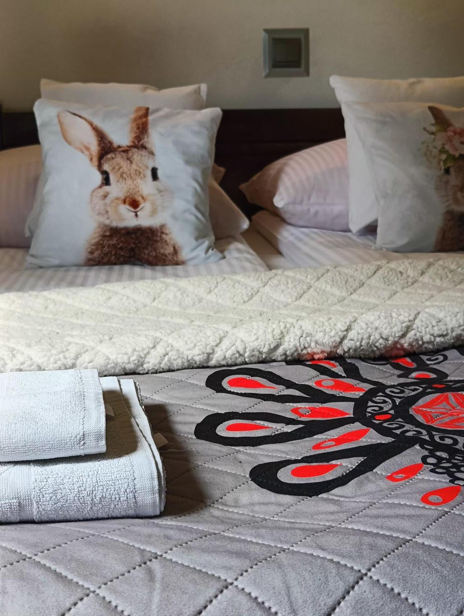 Pokoje I Apartamenty U Sabiny - Dostep Do Jacuzzi Tylko W Wybranych Opcjach Sprawdz Ponizej Szczegoly Rezerwacji シュツァブニツァ エクステリア 写真